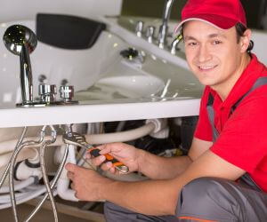 About Emergency plumbing pros Hortonville, NY